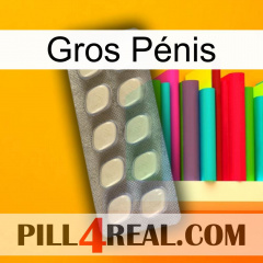 Gros Pénis 08